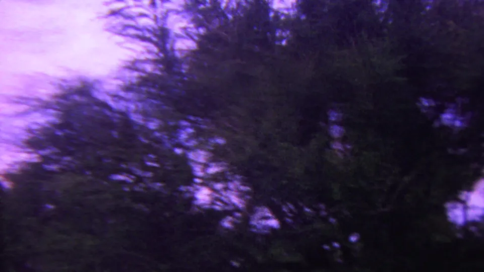 1962 Hawaii 8mm frame showing blurred tree silhouettes and dense foliage against a violet dusk sky.