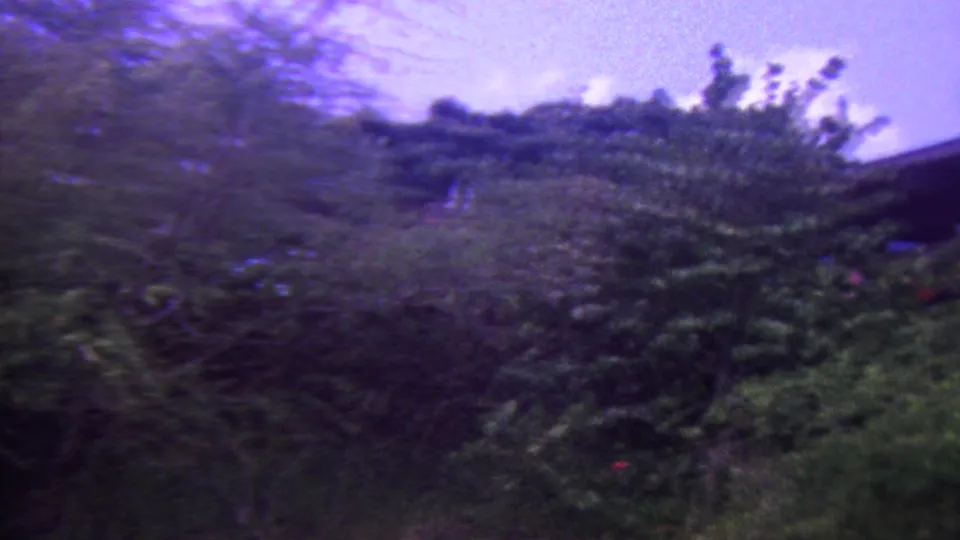 1962 Hawaii home-movie frame showing dense vegetation under a purple sky with a small partial roofline at the edge.