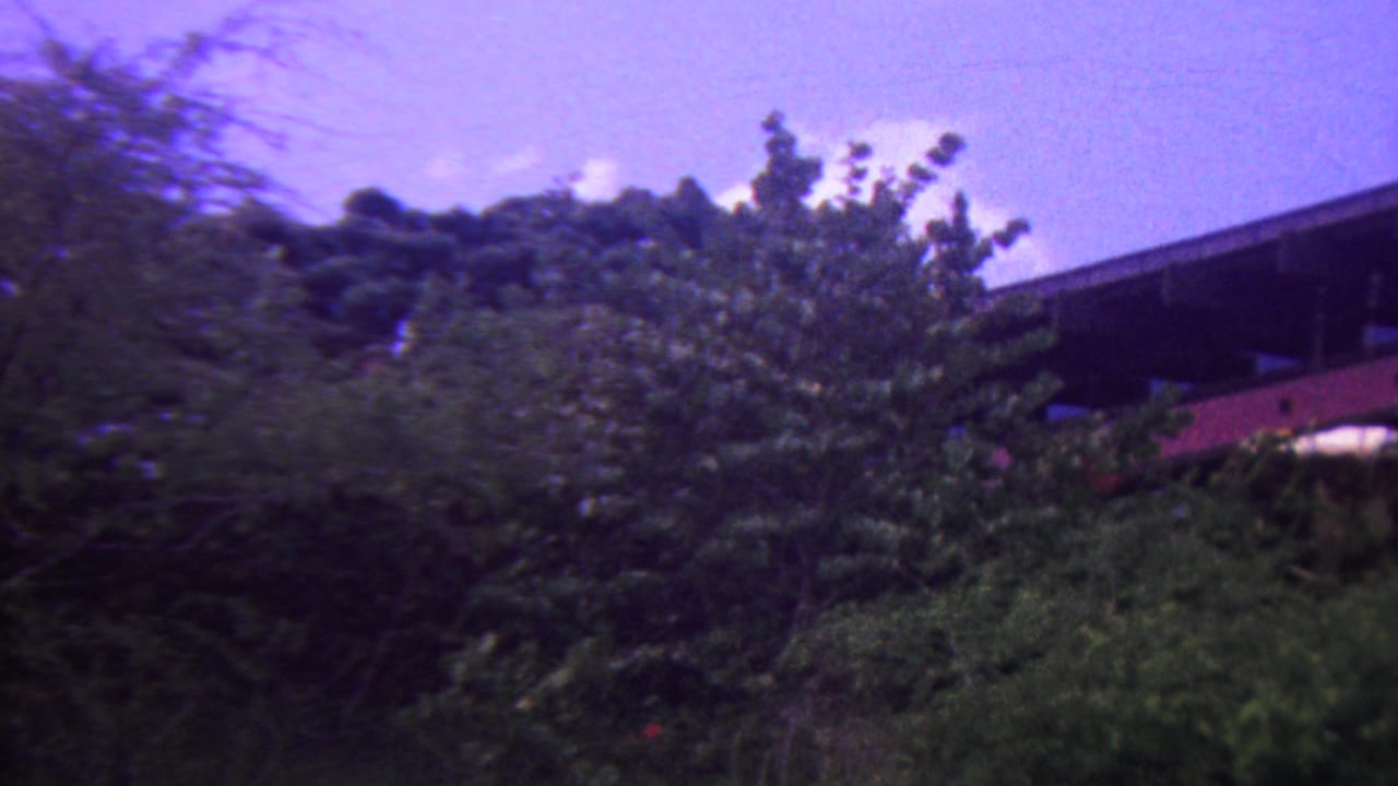 1962 Hawaii 8mm frame showing dense green trees partly blocking a dark bridge-like structure or roofline beneath a purple-shifted sky.