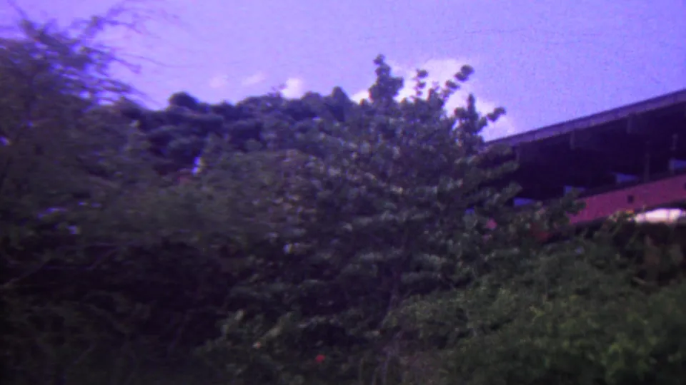 1962 Hawaii 8mm frame showing dense green trees partly blocking a dark bridge-like structure or roofline beneath a purple-shifted sky.