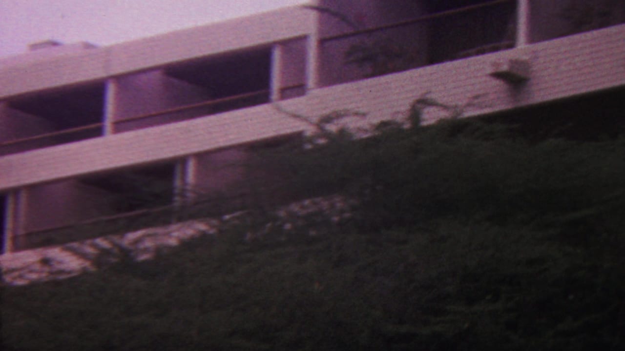Modernist building facade with balconies above dense trees.