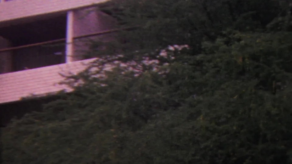 1962 Hawaii 8mm frame showing the corner of a white hillside building receding behind dense tropical foliage.