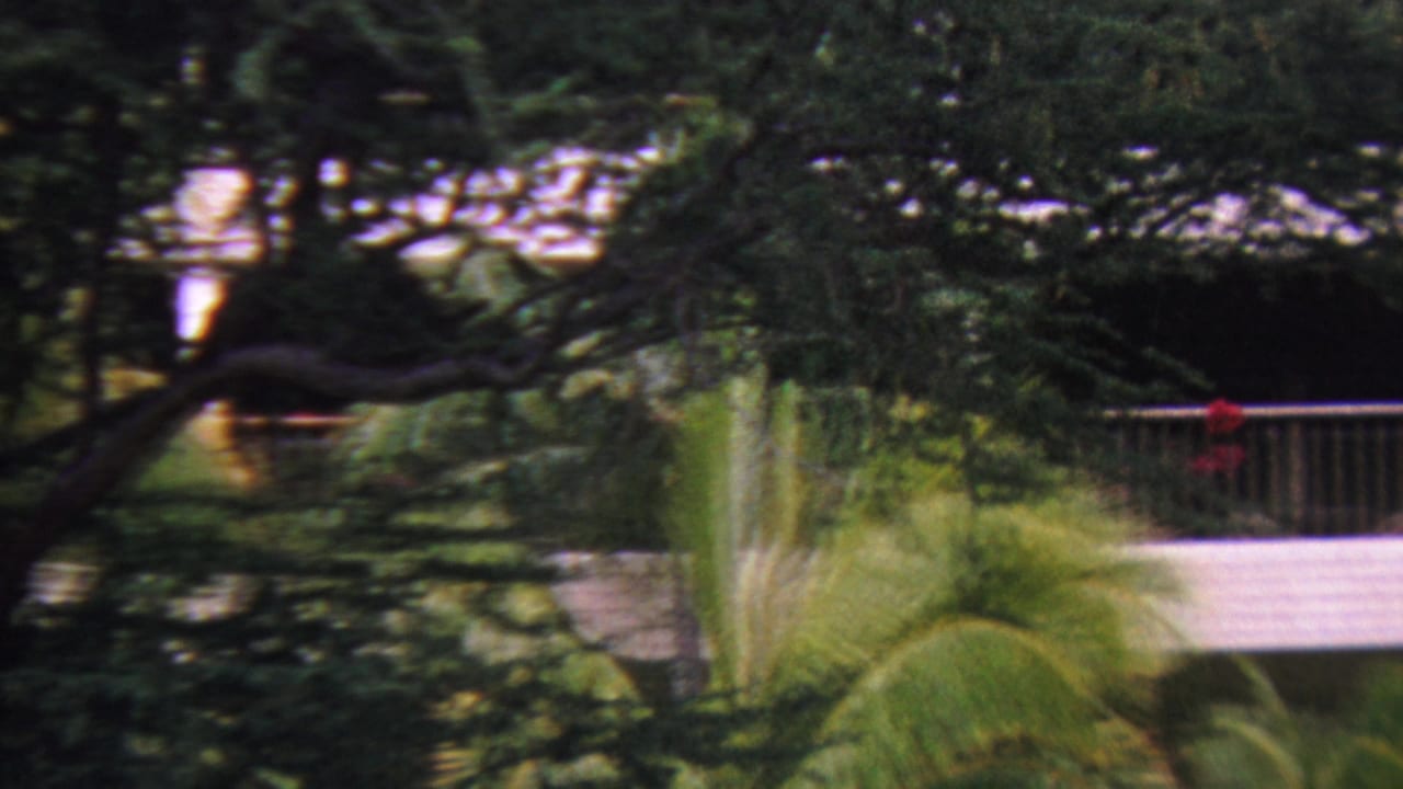 1962 Hawaii 8mm frame showing tropical foliage, palm fronds, and a white balcony or walkway partially hidden behind trees.