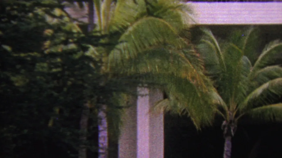 1962 Hawaii 8mm frame showing a palm tree near a white exterior structure, with layered greenery and a balcony or walkway above.