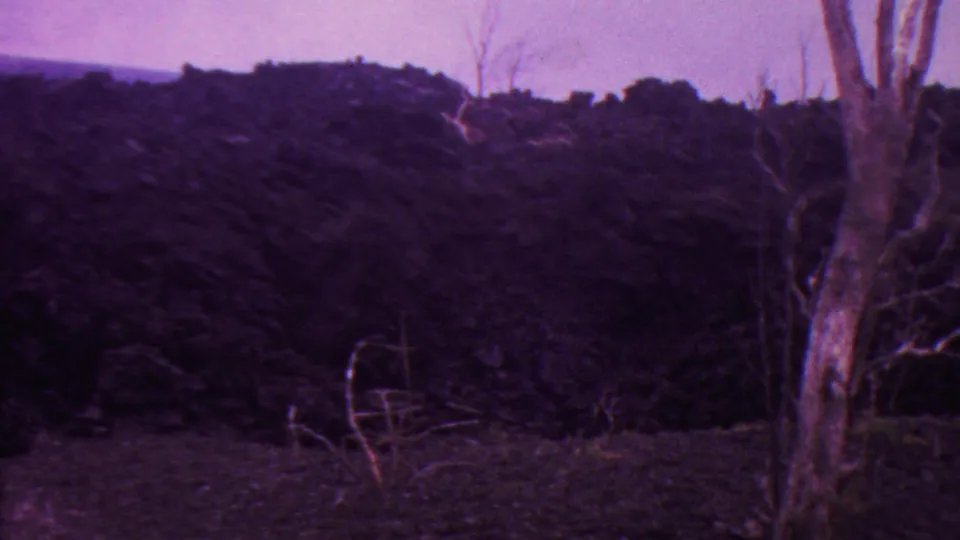 1962 Hawaii 8mm frame showing a dark lava ridge, bare tree trunks, and sparse foreground vegetation under a purple cast.
