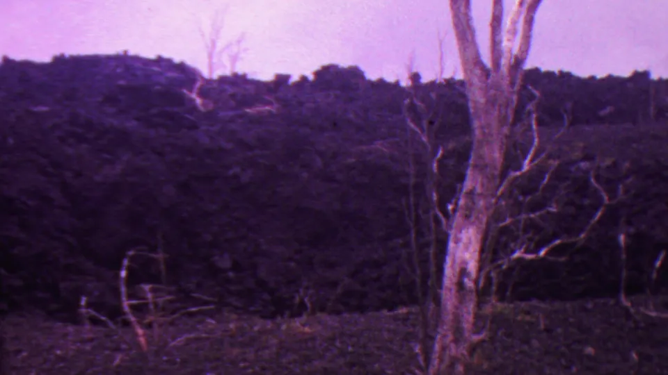 1962 Hawaii 8mm frame with leafless trees in the foreground and a dark volcanic slope under hazy purple-tinted light.