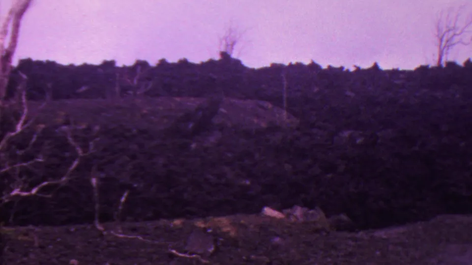 1962 Hawaii 8mm frame showing rough open ground, scattered bare limbs, and a dark forested ridge in aged magenta color.