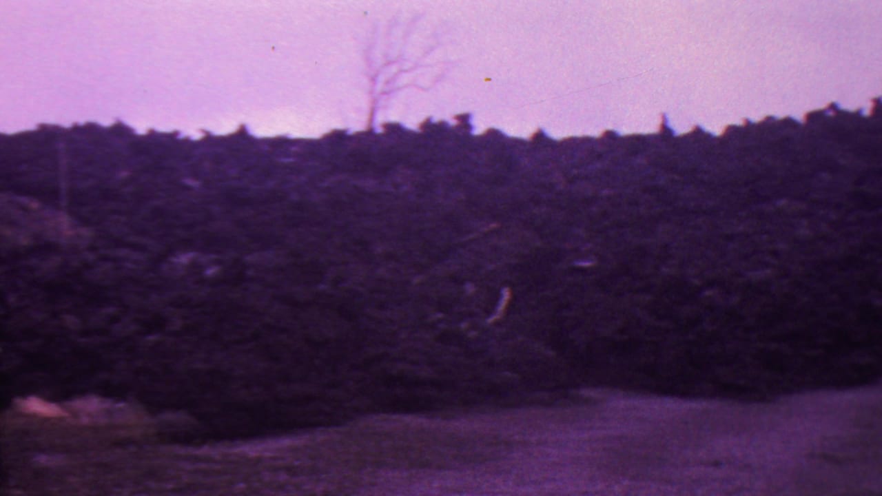 1962 Hawaii 8mm frame showing a dark burned slope or brush line beneath a hazy purple-tinted sky, with pale ground in front and a bare tree shape near the horizon.
