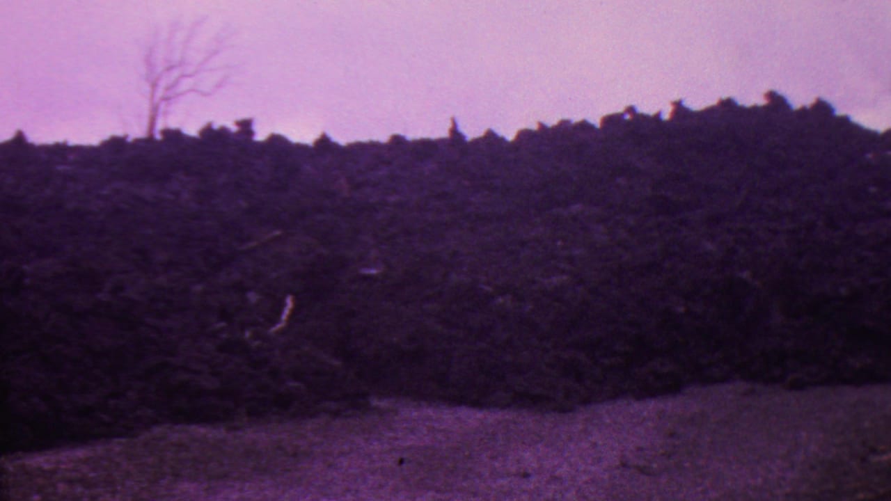 Burned dark earth fills the middle of the frame with pale ground and a hazy sky above.