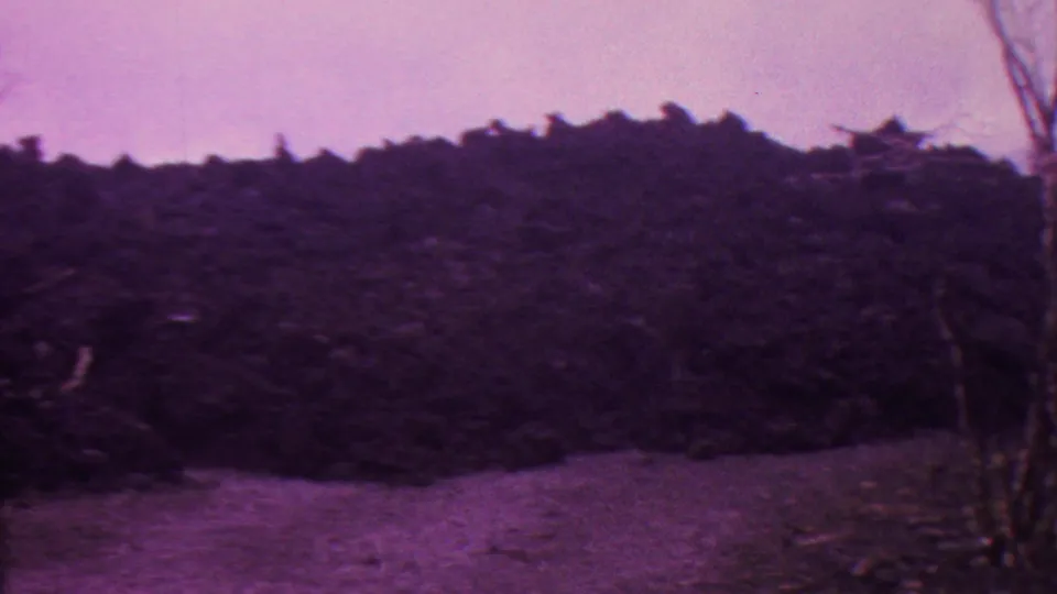 1962 Hawaii 8mm frame showing a dark post-fire hillside or brush mass, pale open ground at the bottom, and a blurred bare trunk or branch near the right side.
