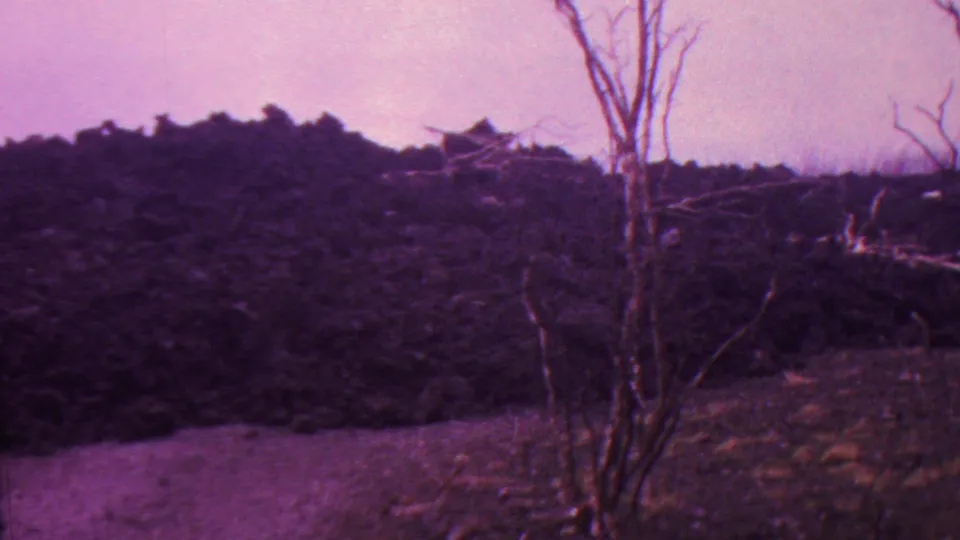 1962 Hawaii 8mm frame showing bare tree trunks in the foreground beside a dark burned slope, with scattered branches and a hazy purple-shifted sky behind them.