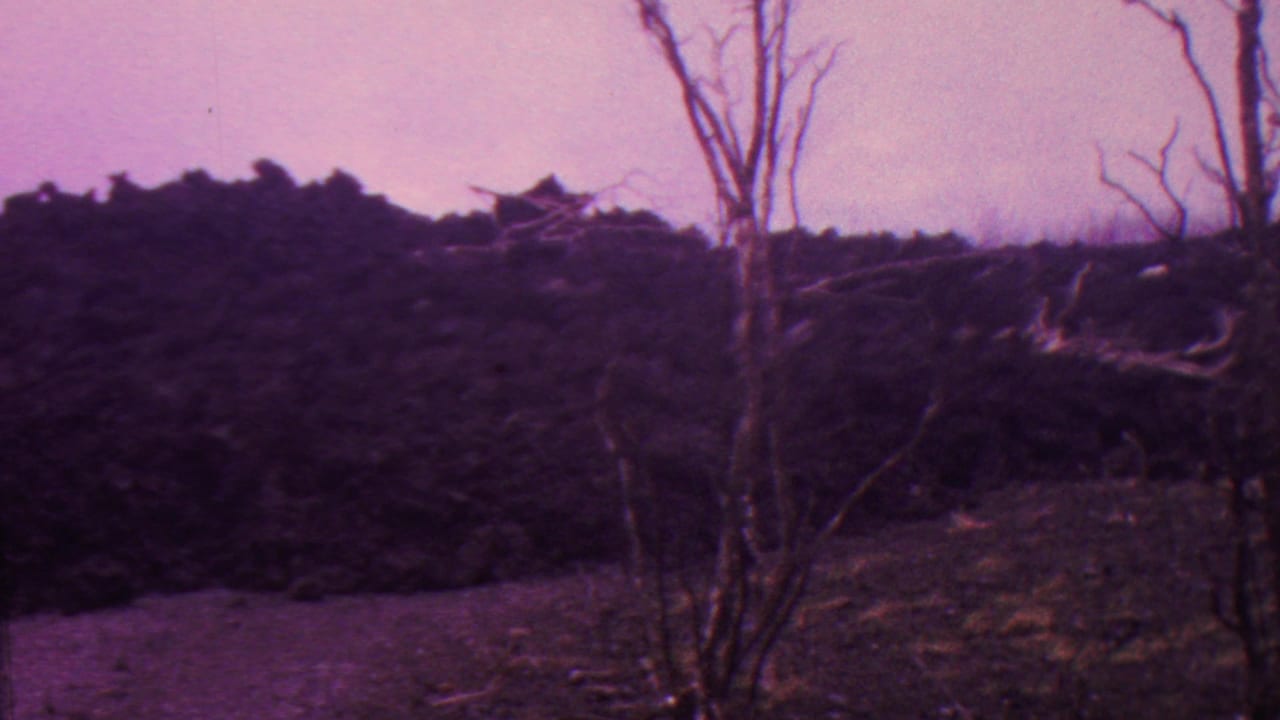 1962 Hawaii 8mm frame showing leafless dead trees, dry ground, and a dark hillside beneath a faded pink-purple sky.