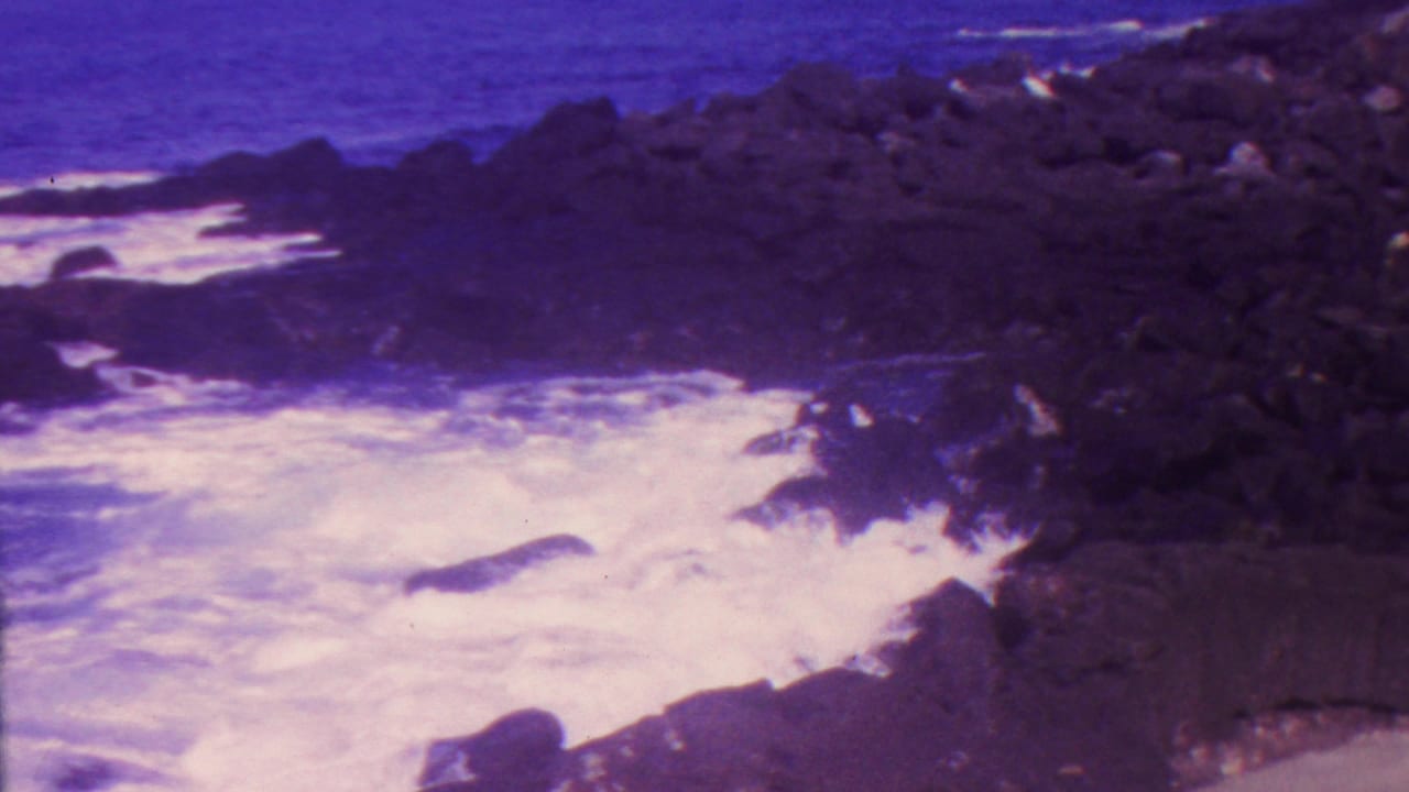 Foamy surf surges into a rocky inlet along the shoreline.