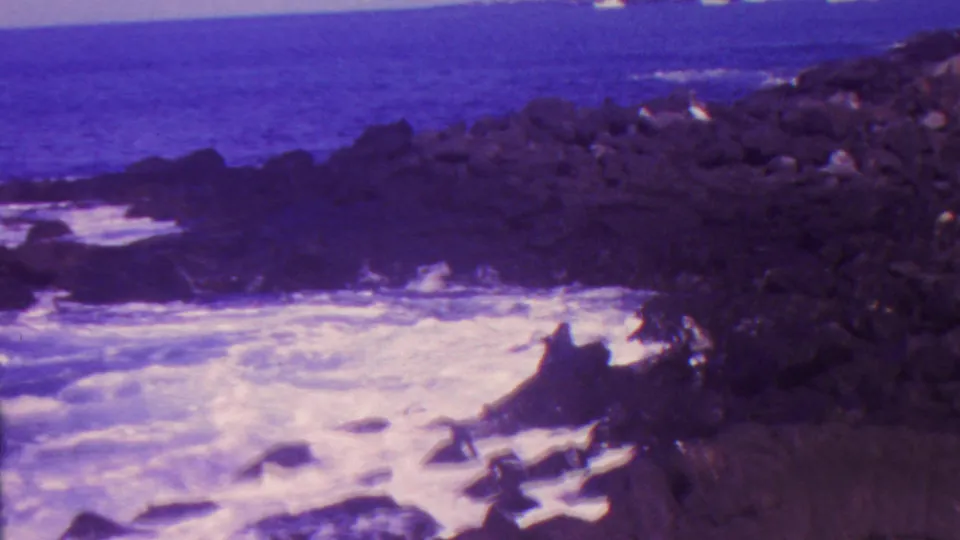 1962 Hawaii home-movie frame showing churning white surf bordered by dark volcanic rocks, with the sea and horizon beyond.