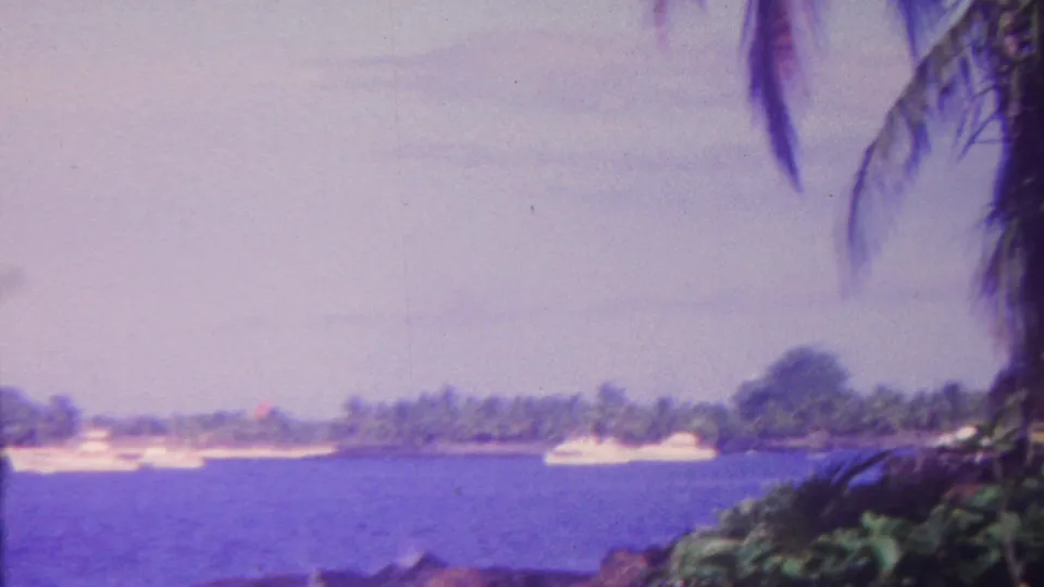 1962 Hawaii 8mm frame looking past palm fronds and shoreline vegetation toward boats floating on blue water near a low tropical coast.