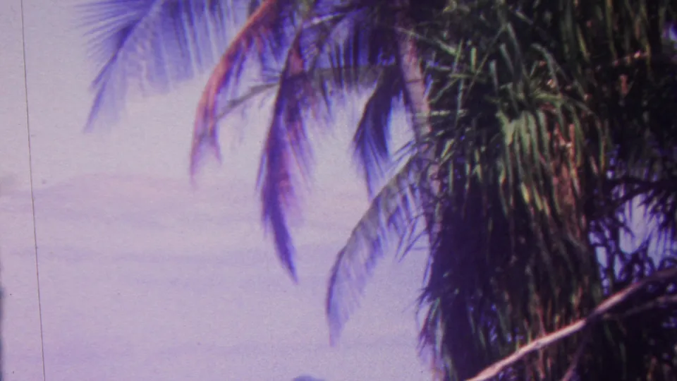 1962 Hawaii home-movie frame dominated by palm fronds and tropical vegetation, with hazy blue water and faint distant shoreline beyond.