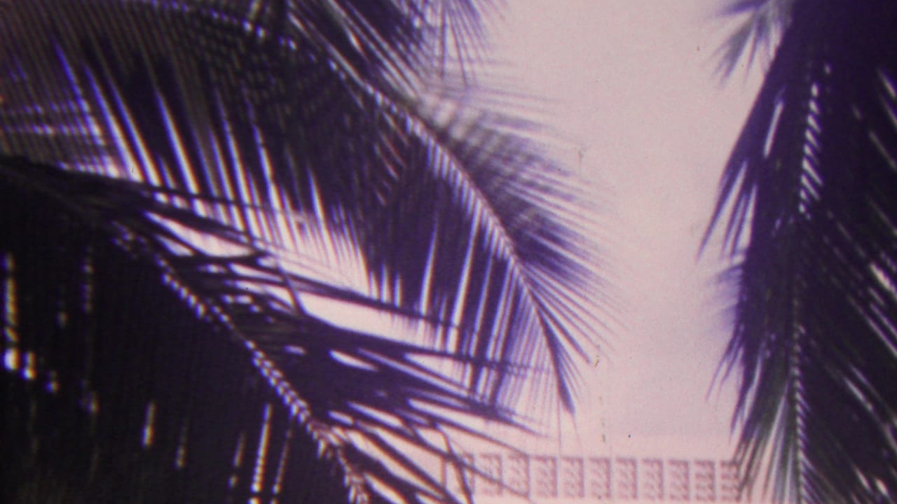 1962 Hawaii 8mm frame with dark palm fronds crossing a bright sky and a pale balcony railing partly visible in the background.