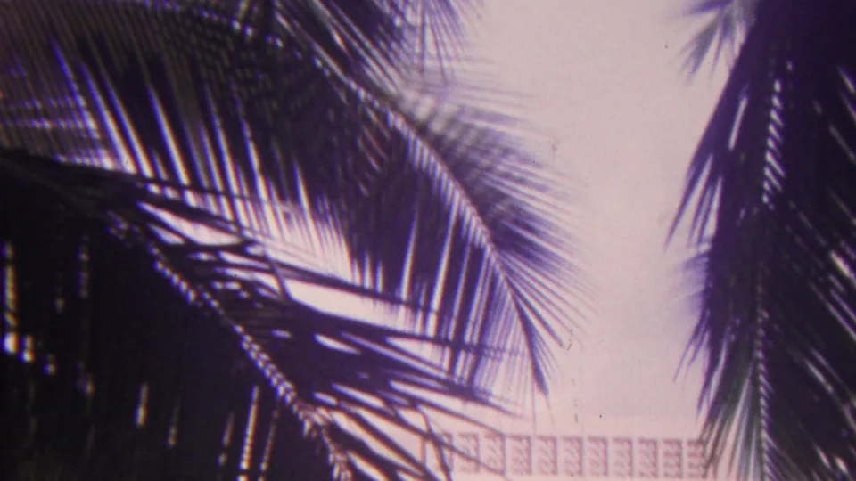 1962 Hawaii 8mm frame with dark palm fronds crossing a bright sky and a pale balcony railing partly visible in the background.