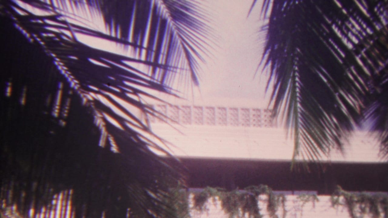 Palm leaves hang in front of a pale multi-level building with balcony railings.