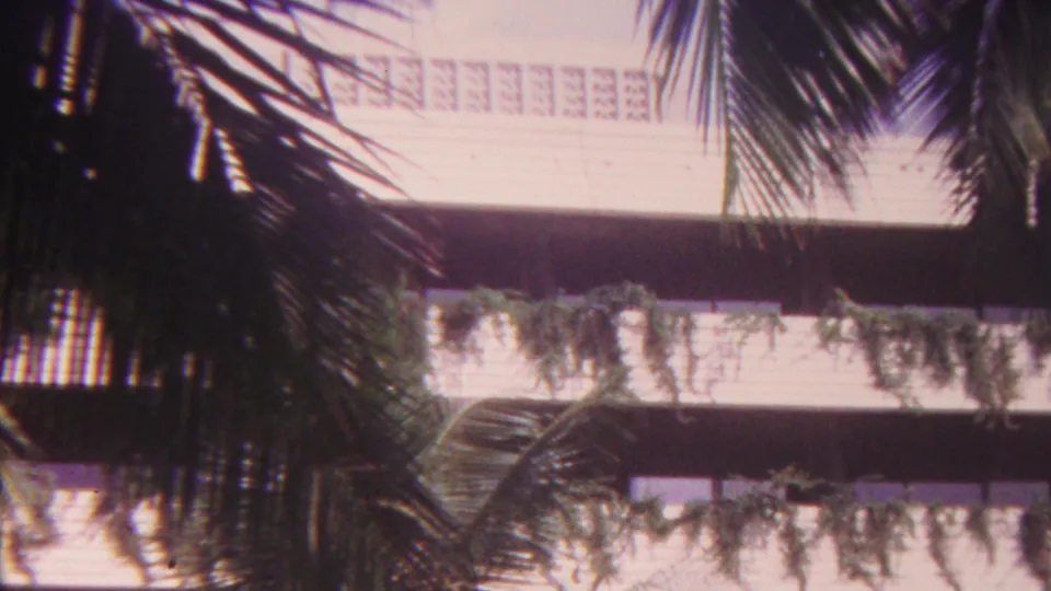 1962 Hawaii 8mm frame showing a multi-level exterior with balcony bands and overgrown plants partly blocked by palm fronds.