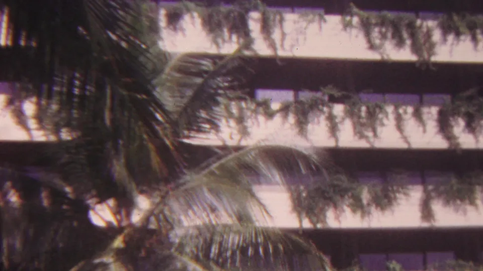 1962 Hawaii home-movie frame with palm fronds in front of a pale multi-story balcony building covered in trailing greenery.