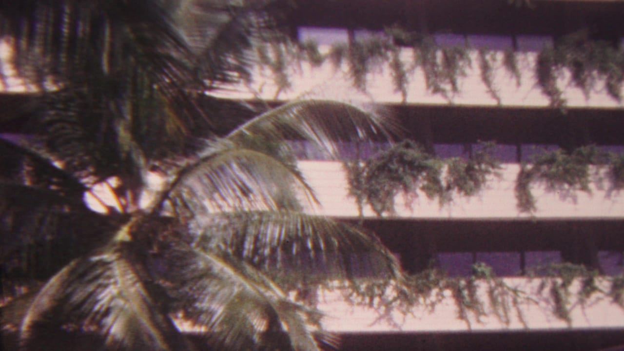 Palm fronds partially obscure a multi-story resort building with planted balconies in Hawaii, supported by the 1962 home-movie metadata.