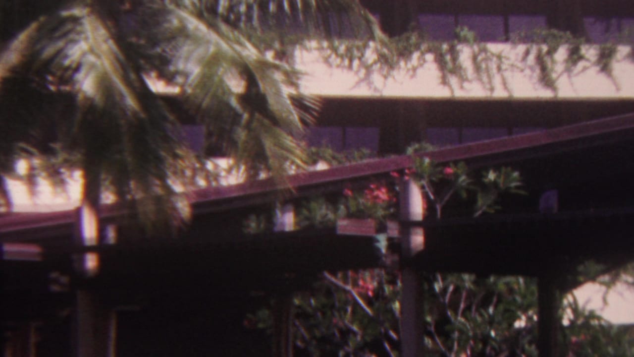A palm trunk and fronds stand before a shaded resort structure and planted upper balconies in the Hawaii resort setting.