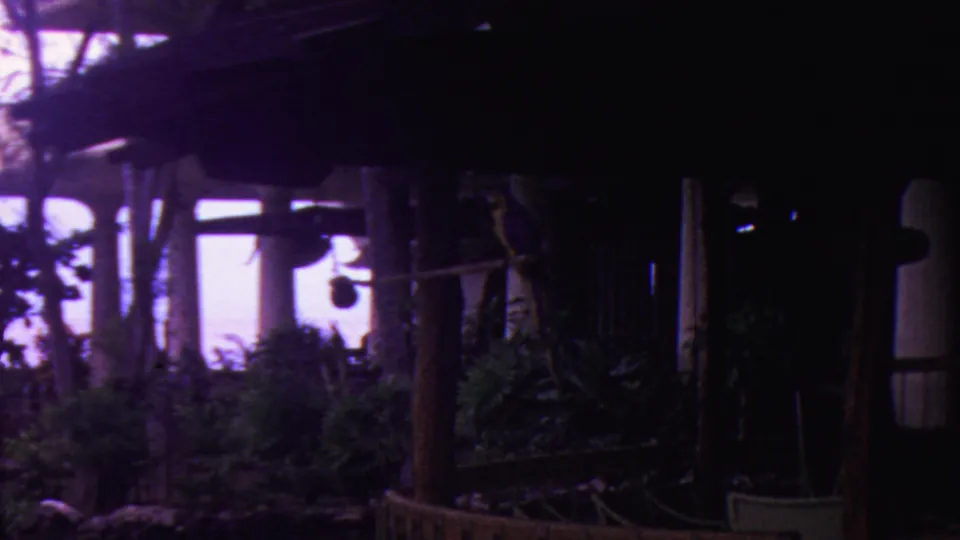 A darker frame shows the shaded edge of a resort structure, vertical posts, tropical plants, and bright light filtering through the open-air space.