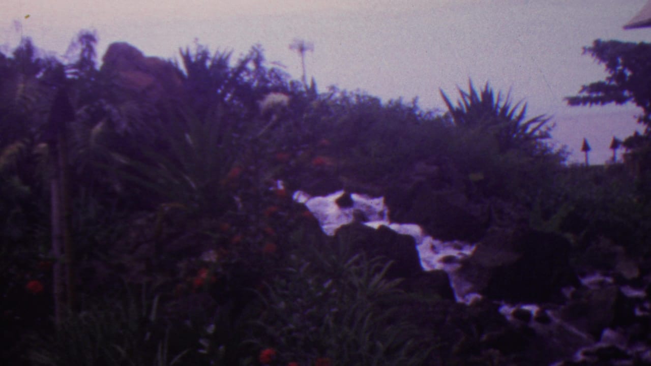 Rocky garden watercourse with white rushing water surrounded by dense tropical foliage.