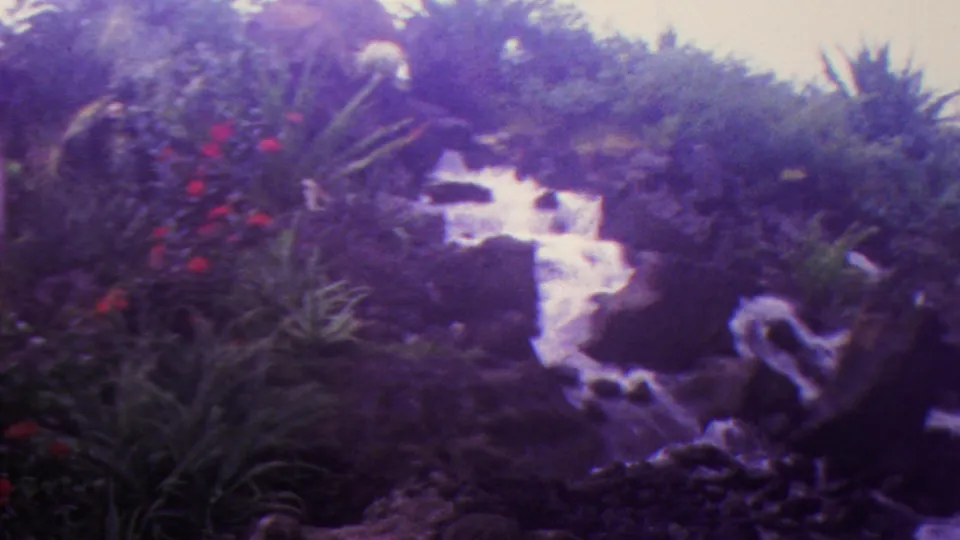 1962 Hawaii 8mm frame showing a closer view of a rocky stream, bright moving water, broad tropical leaves, and red flowers along the bank.