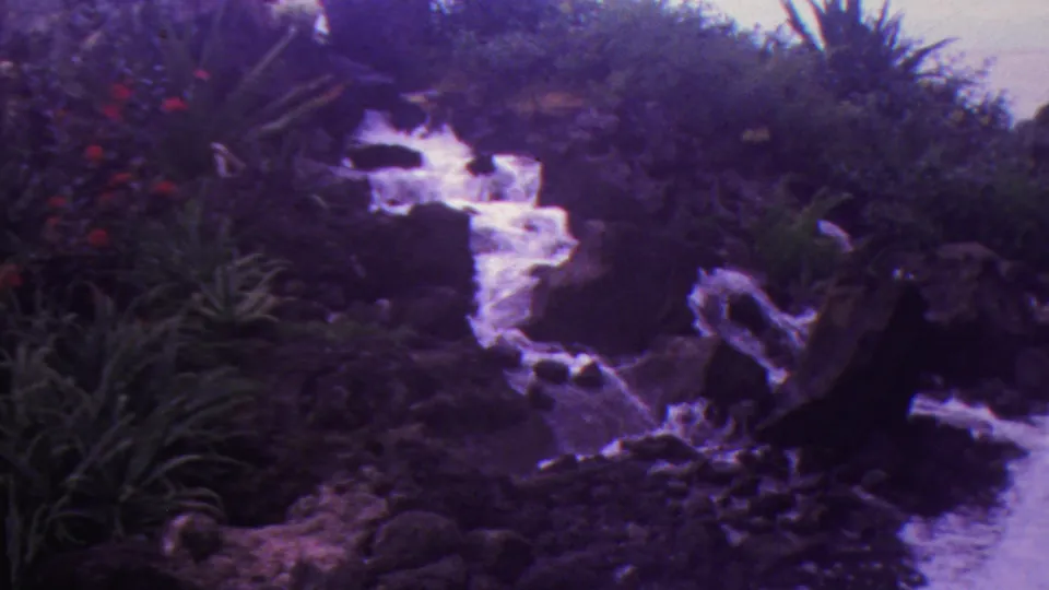 1962 Hawaii 8mm frame showing water descending through dark rocks amid dense tropical garden foliage, with a shaded lower pool or channel at the edge.