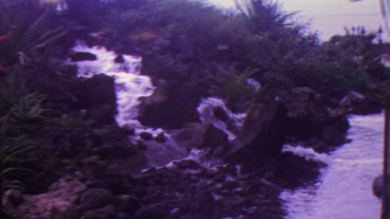 1962 Hawaii 8mm frame showing water cascading over dark garden rocks amid dense tropical foliage, with soft grain and purple color shift.