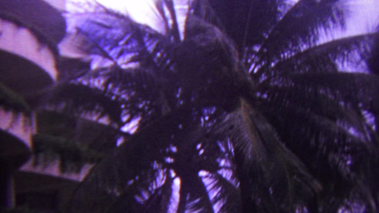 1962 Hawaii 8mm frame showing dark palm fronds against a bright tinted sky, with a partial building edge visible at the left side.