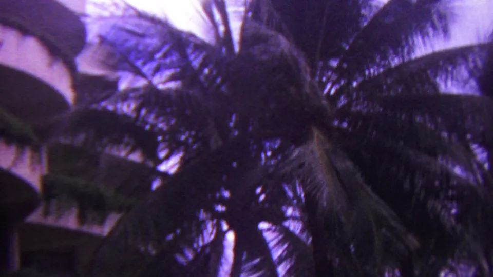 1962 Hawaii 8mm frame showing dark palm fronds against a bright tinted sky, with a partial building edge visible at the left side.