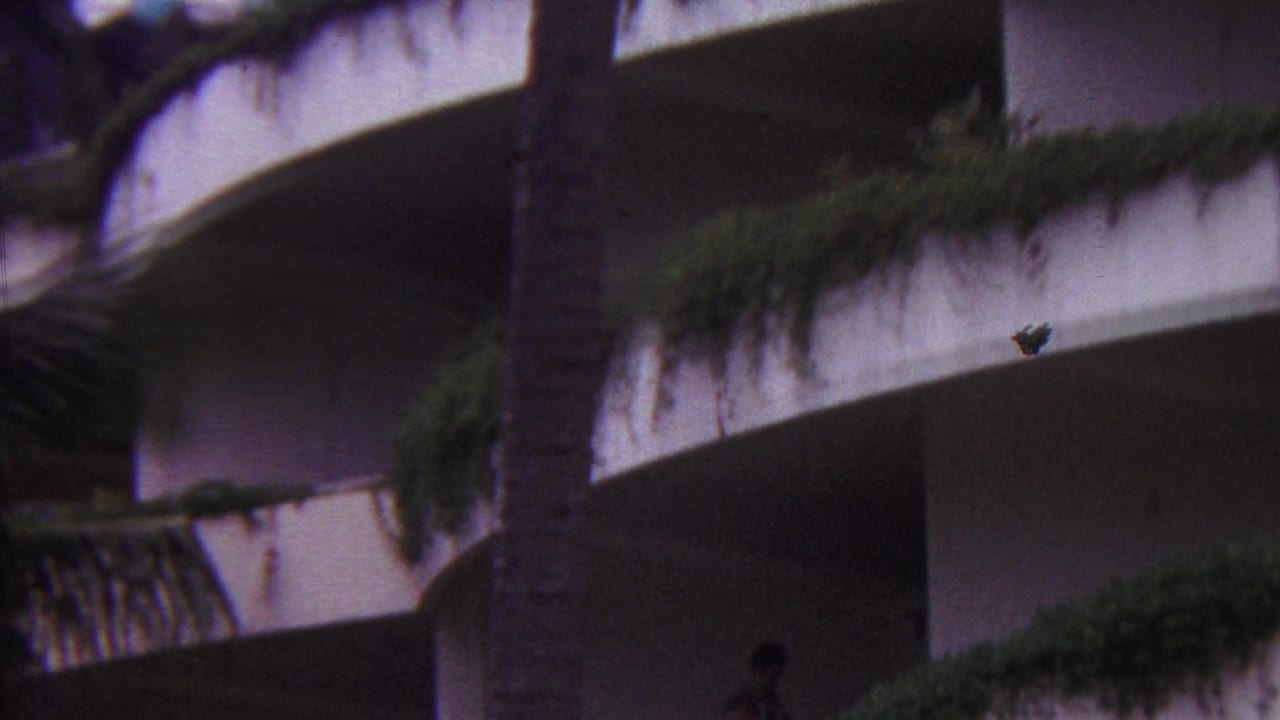 1962 Hawaii 8mm frame showing a palm trunk partly obscuring a white curved resort-style building with balcony greenery.