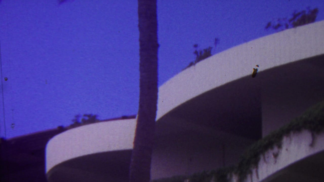 Curved white building and palm trunk against a vivid blue sky.