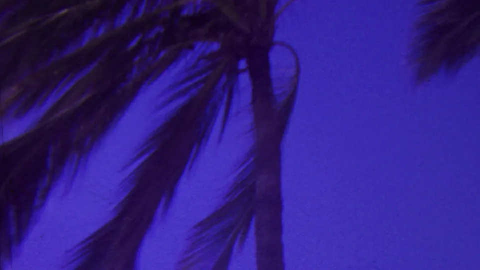 1962 Hawaii 8mm frame focused on a palm tree with dark fronds moving across a vivid blue-purple sky.