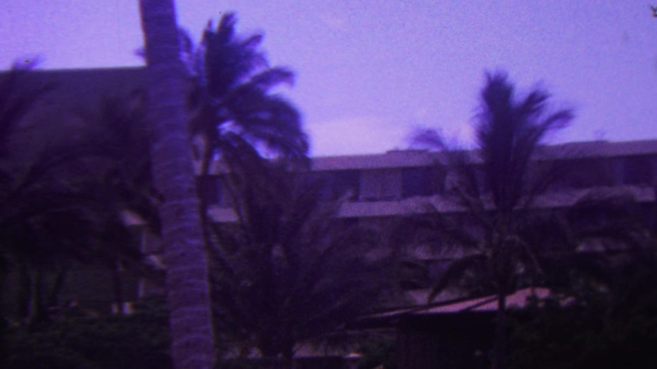 1962 Hawaii 8mm frame showing windblown palm trees in front of a low-rise resort or hotel building with a strong purple film cast.