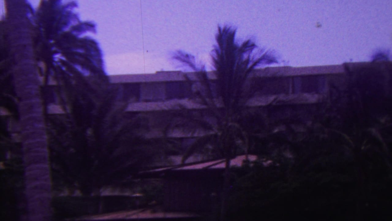 1962 Hawaii home-movie frame with palm fronds moving across a hotel exterior, balcony lines, and tropical landscaping under a purple-shifted sky.