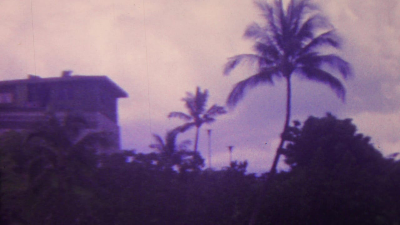 1962 Hawaii home-movie frame showing palm trees, dense tropical vegetation, and part of a resort building under purple-shifted film color.