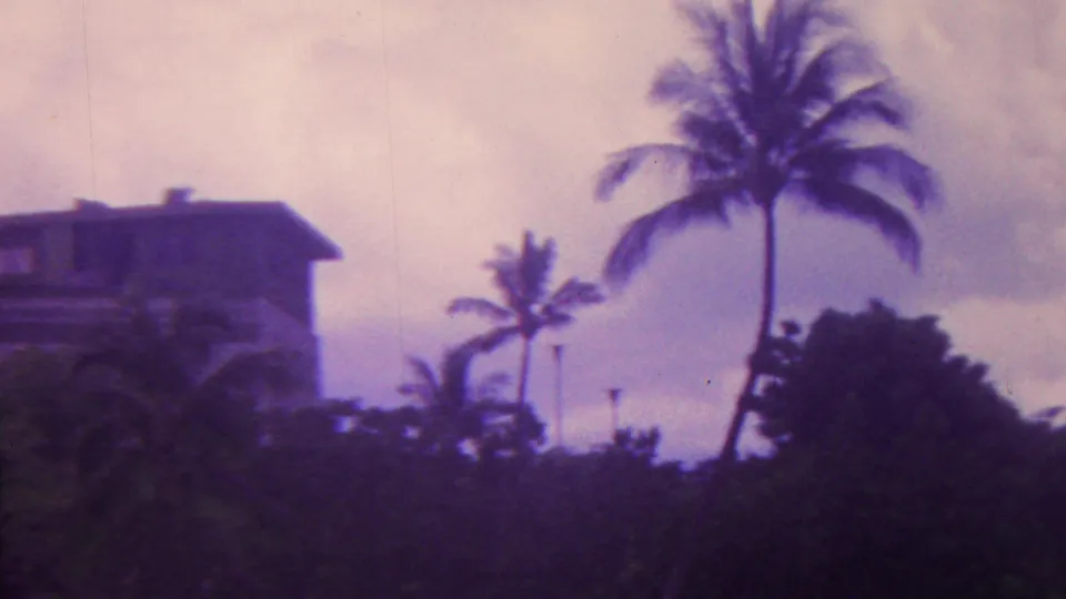 1962 Hawaii home-movie frame showing palm trees, dense tropical vegetation, and part of a resort building under purple-shifted film color.