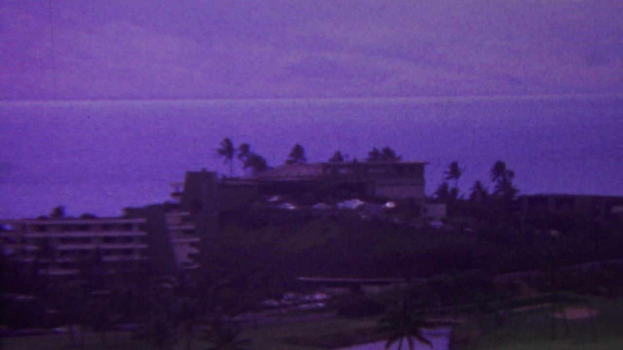 Ocean-facing resort buildings and palms seen from an elevated viewpoint.