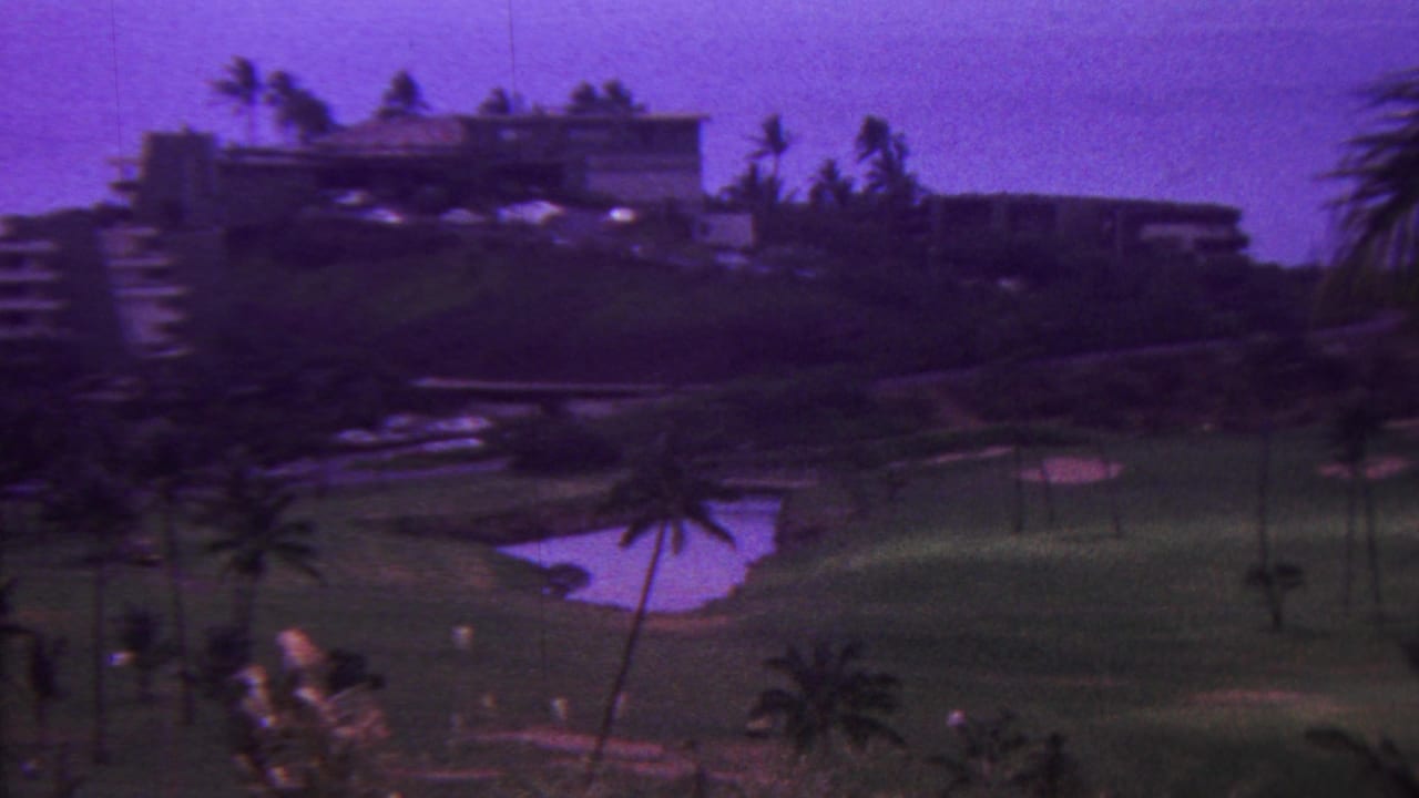 Palm-lined golf course and resort buildings viewed from a distance.
