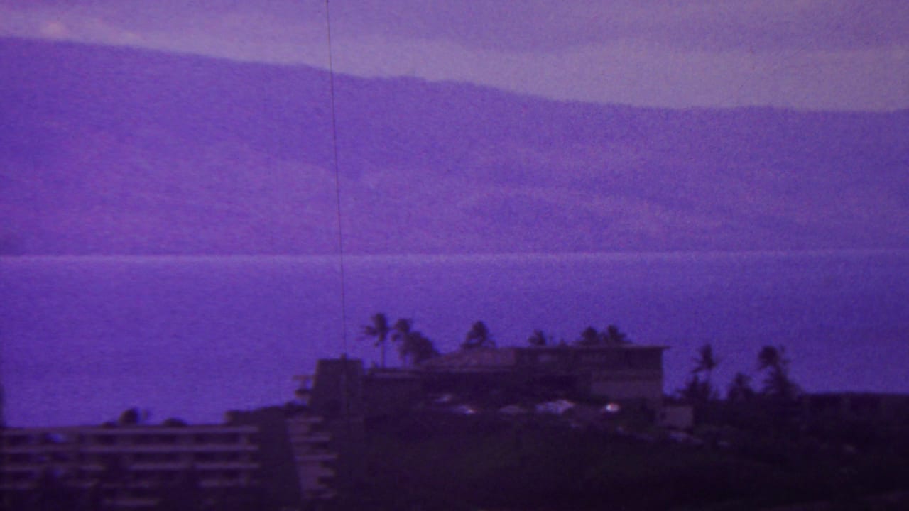 Distant coastal building and palm trees below ocean and mountain horizon.