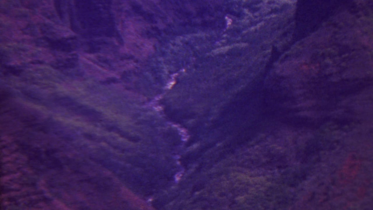 Rugged canyon ridges and vegetation seen from above with a purple color cast.