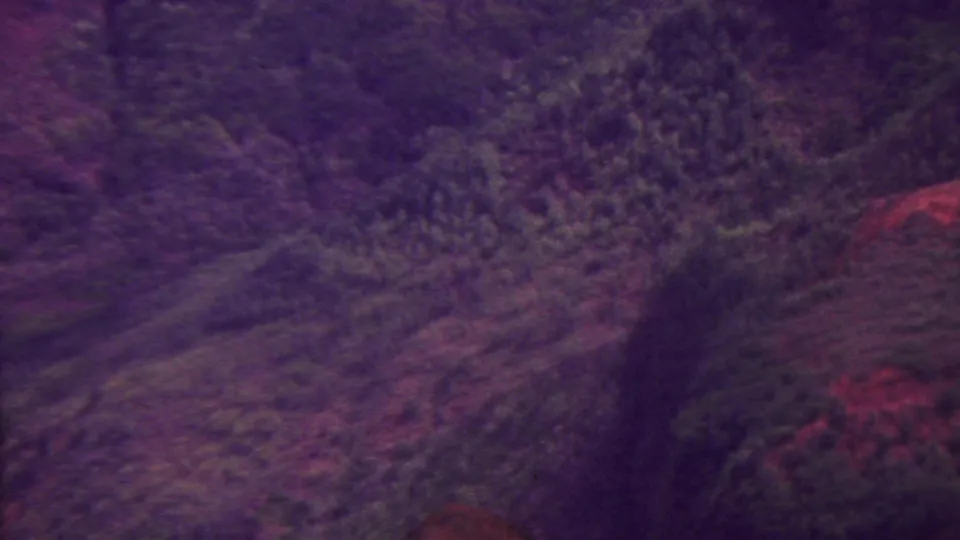 1962 Hawaii 8mm frame looking across a dark, forested valley and irregular mountain slopes under heavy magenta-purple film fading.