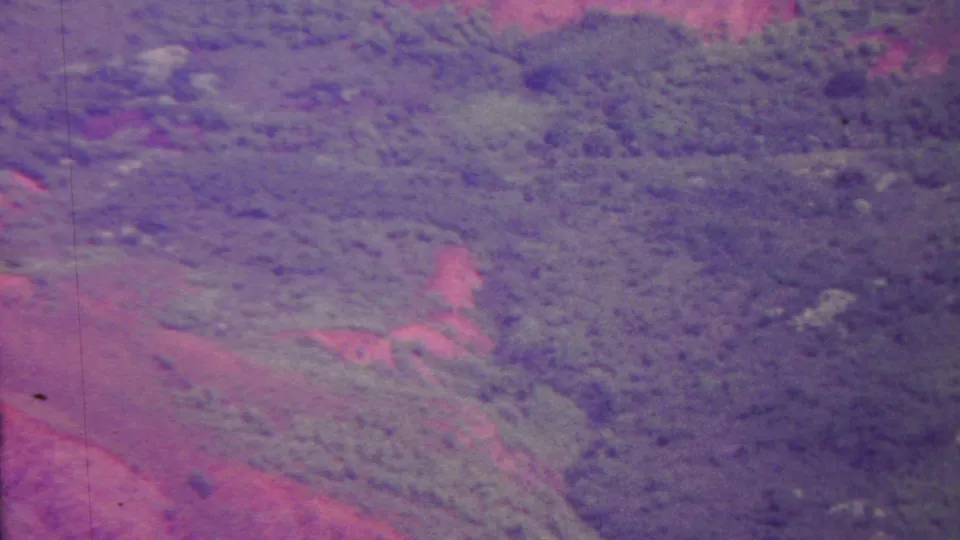 1962 Hawaii aerial home-movie frame showing sloped green terrain, red soil exposures, dense vegetation, and a purple cast from aged film.