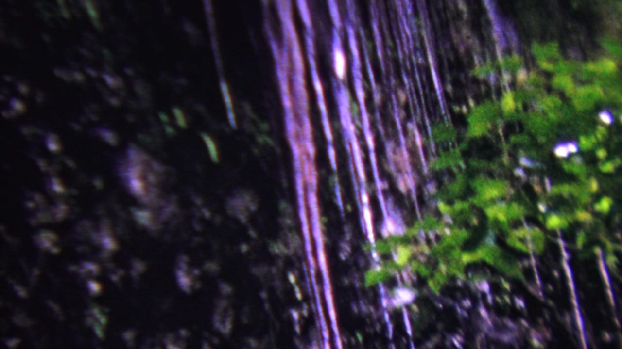 1962 Hawaii 8mm frame showing a shadowed wet cliff face, vertical water streaks, and bright green foliage in soft handheld focus.