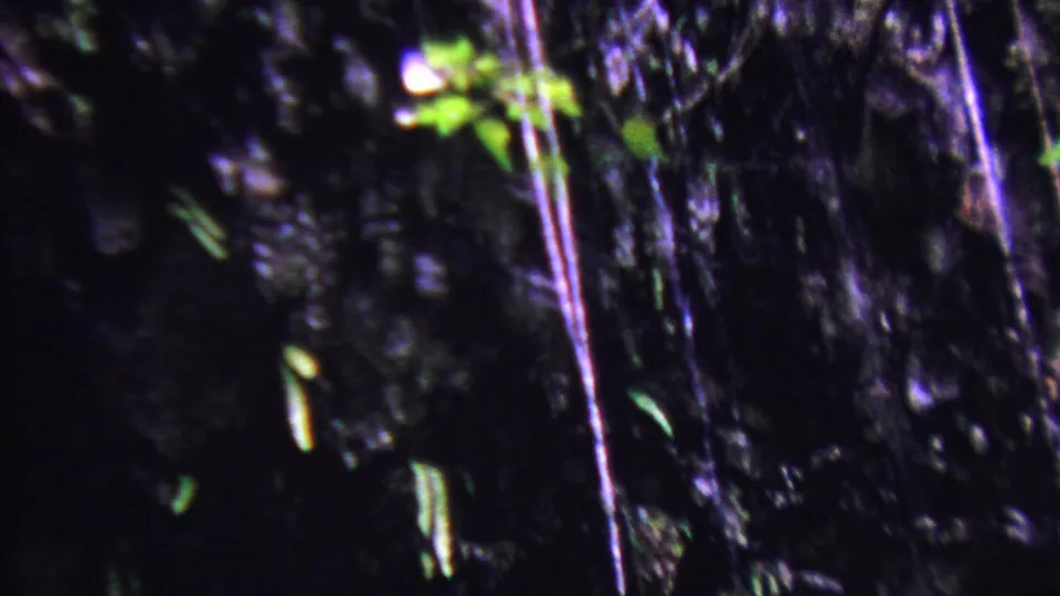 1962 Hawaii 8mm frame with dark rainforest rock, narrow cascading water lines, and small illuminated leaves against heavy shadow.