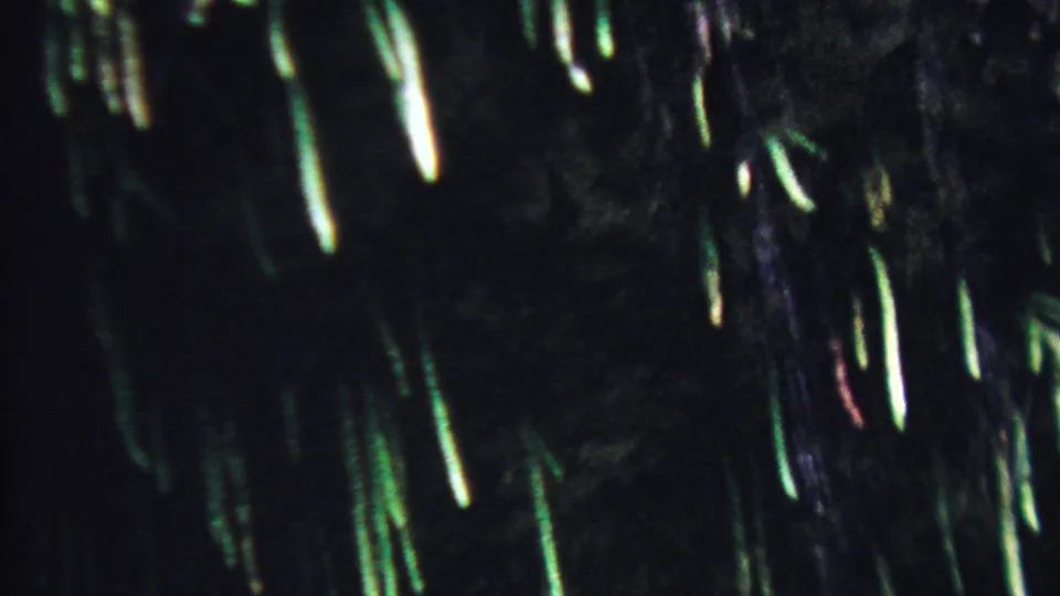 1962 Hawaii 8mm frame showing blurred water trails descending across a dark cliff face with green tones and low available light.
